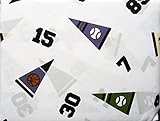 Authentic Kids 3 Piece Twin Sheet Set Sports Pennants Flags Baseballs Footballs Basketballs on White