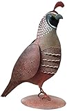 Regal Art & Gift REGALR227 Quail Decor Male