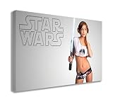 (44" X 26" / 110 X 65cm) - STAR WARS MODEL CANVAS WALL ART (44" & 157; X 26" & 157; / 110 X 65cm)