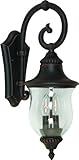 Artcraft Lighting Premiere Small European Style Outdoor Urn Light, Black [並行輸入品]