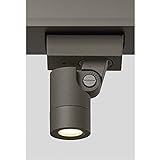 リクシル　TOEX　12V　美彩　ダウンスポットライト　DNSP-G1型 45°　LED　8 VLH14 AB　『リクシル　ローボルトライト』　『エクステリア照明 ライト』 オータムブラウン