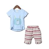 YiYa 夏 子供服 ボーイズ 男の子 ウサギ 半袖Ｔシャツ＆ショートパンツ キッズ 子供 ベビー服 上下セット 2点組 かっこいい 普段着 子供 0-4歳 幼児 キッズ服 (100cm, ブルー)