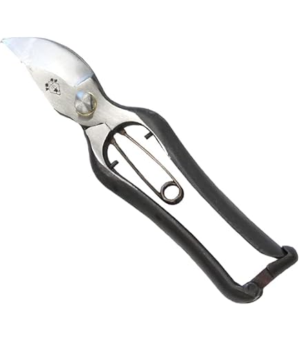 Amazon | 阿武隈川宗寛 剪定鋏 金止 BP 180mm /62-2243-67 | 園芸用はさみ