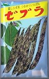 【種子】いんげん ゼブラ 50ml