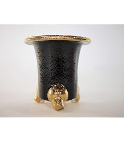 Amazon | 信楽焼 楽風柚子足付オモト鉢 5号 4個入り | 鉢