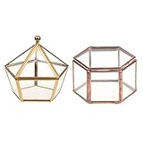 Dovewill 2個セット　ジオメトリック　テラリウム　ジュエリー　ボックス　卓上　多肉植物　プランター　ギフト