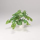 LION 人工植物　GS-112 品番57683