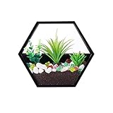 壁掛け花瓶 NHsunray 花瓶 フラワーアレンジメント花器 装飾家の装飾 (M, 黒)