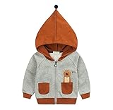 PANCY 子供服 パーカー スウェットパーカー フード付き 前開き ジャケット コート フーディ キッズ 子供 男の子 女の子 春秋 長袖 綿 おしゃれ カジュアル ファッション 可愛い 動物柄 熊