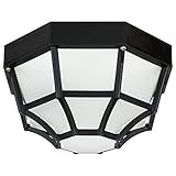 Sunlite 47238-SU DOD/OC/BK/FR/MED Decorative Outdoor Octagonal Collection Polycarbonate Fixture, Bla