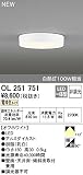 オーデリック　フラットプレート 【OL 251 751】【OL251751】