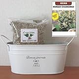 ローマンカモミールの栽培セット/標準セット（液体肥料なし）プランターホワイト仕様