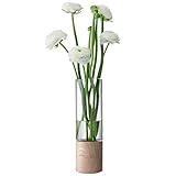 G992-24-301 LOTTA VASE&ASH BASE H24cm TLA2082
