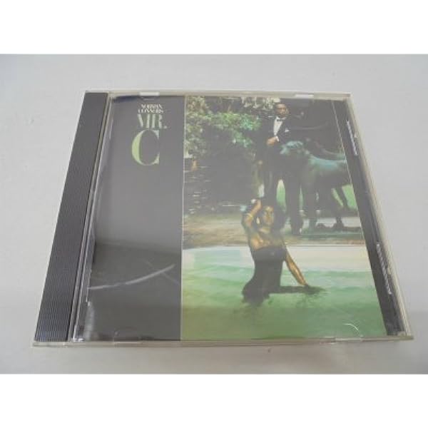 ★ＵＳオリジナル盤★『ＭＲ.Ｃ』ノーマン・コナーズ Norman Connors｜Mr. C (LP)｜レコード通販｜vivrantdiscstore