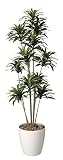 造花アート・観葉植物　ドラセナコンパクタ1.6＜ お中元 お歳暮 フラワーギフトに＞