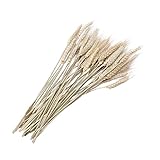 Vosarea 乾燥した天然の小麦シーブバンドルプレミアム秋アレンジメント