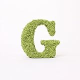 A plus floral art インテリアグリーン イニシャルモス [ G ] アルファベット オブジェ 置物 苔 イニシャル 雑貨 北欧風 インテリア