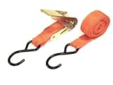 軽量Ratchet Tie Down Cargoストラップ1 "インチx 15 ' FT with Sフック
