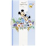 ディズニー ご祝儀袋 結婚祝い 金封 東京ディズニーリゾート限定 しあわせのブルー Blue Ever After