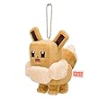 ポケモンセンターオリジナル マスコット ポケモンクエスト イーブイ