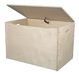 リトルコロラド大きなおもちゃボックス、未完成