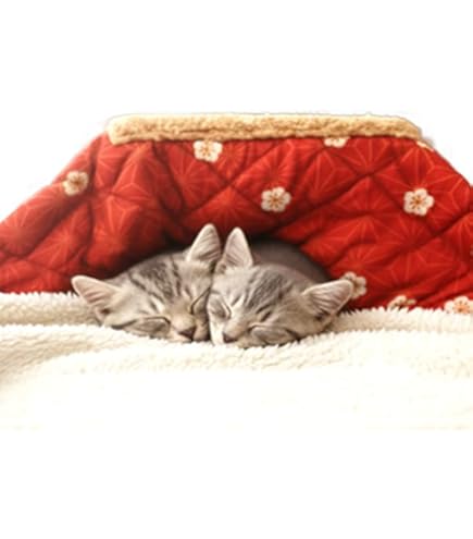Amazon | ペット用 こたつ ねこ 猫 ネコ コタツ ワンちゃん ネコちゃん