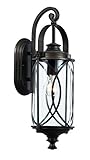 Trans Globe Lighting 40410 ROB Crossover Wall Lantern, 19", Rubbed Oil Bronze [並行輸入品]
