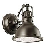 49064OZ Hatteras Bay 1-Light 8-Inch Outdoor Wall Mount, Old Bronze Finish with Fresnel Glass Diffuse