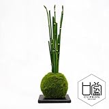 観葉植物 ミニ盆栽 フェイク 造花 ♪【カップボン】トクサ/苔玉（黒皿）♪ 【prm】インテリアグリーン フェイクグリーン アーティフィシャル 開店祝い 新築祝い ギフト 模様替え 店舗内装 プレゼン