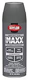 Krylon K09140000 COVERMAXX Spray Paint, Gloss Smoke Gray [並行輸入品]