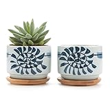 T4U 7.5CM 陶器鉢 和風シリーズNo.8 唐草 多肉植物 サボテン鉢 フラワーポット プランター容器 バンブートレイ付き 2個入り