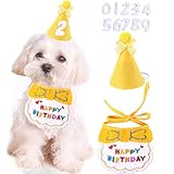 犬 誕生日 帽子 蝶ネクタイ 犬 猫用 誕生日グッズ 誕生日帽子 3点セット バースデー帽子 ペット用誕生日帽子 王冠 数字付き クラウン きらきら バースデーハット 飾り付け ペット 帽子 誕生日ハット（ブルー）