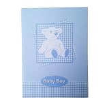 Baby Stork Record Book Boy by Esposti