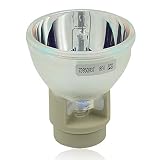Allamp プロジェクター IPSiO PJ 交換用ランプ タイプ2 308883 リコー RICOH PJ WX2130B/X2130B/WX2130/X2130/K110 対応 (裸電球)