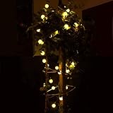 LEAZEAL LEDイルミネーションライト30灯 クリスマス パーティー・イベント 装飾 防水 ライト（ホワイト）