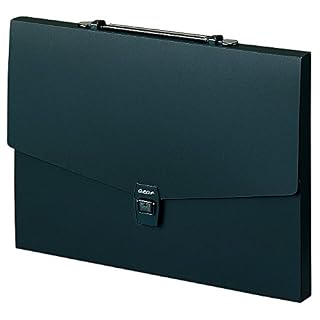 セキセイ ドキュメントファイル アルタートケース フラット B4 ブラック ART-602