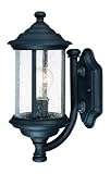 15-Inch Outdoor Wall Light [並行輸入品]