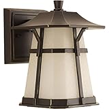 Progress Lighting P5749-2030K9 Derby 1 Light LED Small Wall Lantern with AC Module, 65" [並行輸入品]