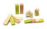 14 Piece Tegu Magnetic Wooden Block Set Jungle [並行輸入品]