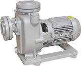 寺田ポンプ 陸上ポンプ(鋳鉄製+砲金) MPJ4-51.51RN