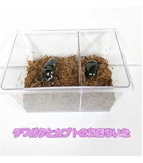 タイベストシール（不織布）1000枚　【カブトムシ クワガタ飼育に！】 タイベストシール（不織布）1000枚 【カブトムシ クワガタ飼育に