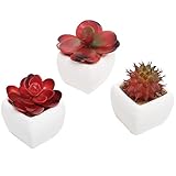 MyGiftのセット3ミニチュア人工多肉植物W /セラミックプラントポット、レッド