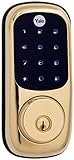 Yale Real Living Keyless Touchscreen Deadbolt in Polished Brass (Standalone) (YRD220) [並行輸入品]