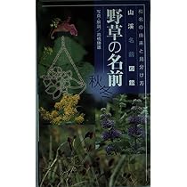 山渓名前図鑑 野草の名前 春―和名の由来と見分け方 (山溪名前図鑑