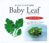 【種子】ベビーリーフ・グリーンケール 1dl