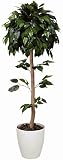 tree-c/観葉植物 造花 光触媒 ベンジャミン・トピアリー 120cm