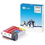 【G&G】 XKI-N21(BK/C/M/Y)+XKI-N20 5色セット 残量表示対応 キヤノン 互換インクタンク
