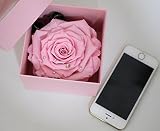 超特大輪花びらの大きさなんと10㎝だからスワロフスキー付き最高級大輪ローズの プリザーブドフラワー ボックス！【テレビ映画、高級ブランドや東証一部上場企業、代議士、タレント、ミリオンセラー作家などを顧