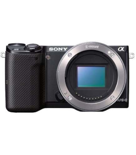 Amazon.co.jp: SONY ミラーレス一眼 α NEX-5R パワーズームレンズ