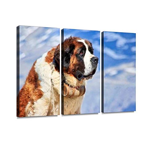 セントバーナードが首から提げている樽の中身はお酒 なぜなのか理由を紹介 Petfull